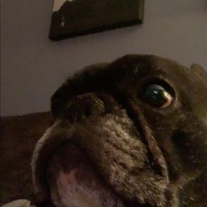 Meet your Posher, Emma